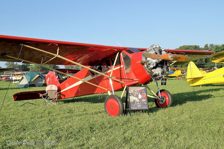 Curtiss Robin