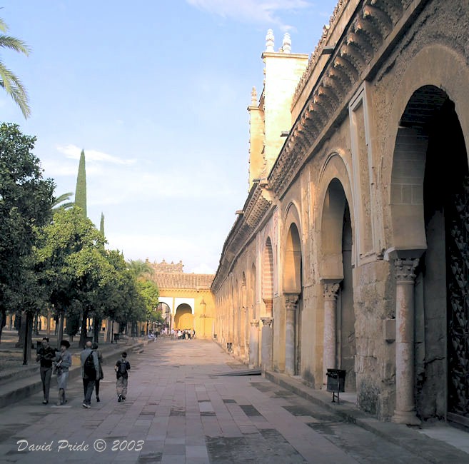 Mosque Courtyard