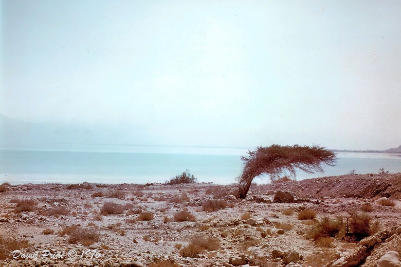 Negev Desert