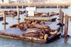 Pier 39
