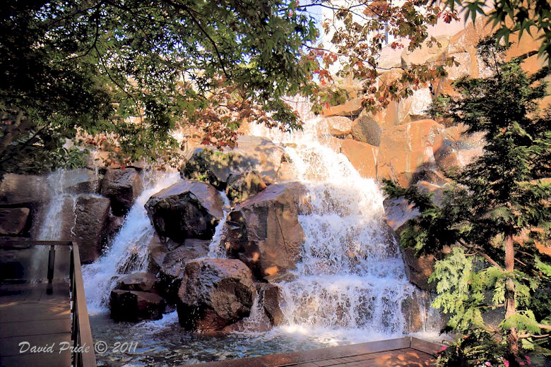 Waterfall Garden Park